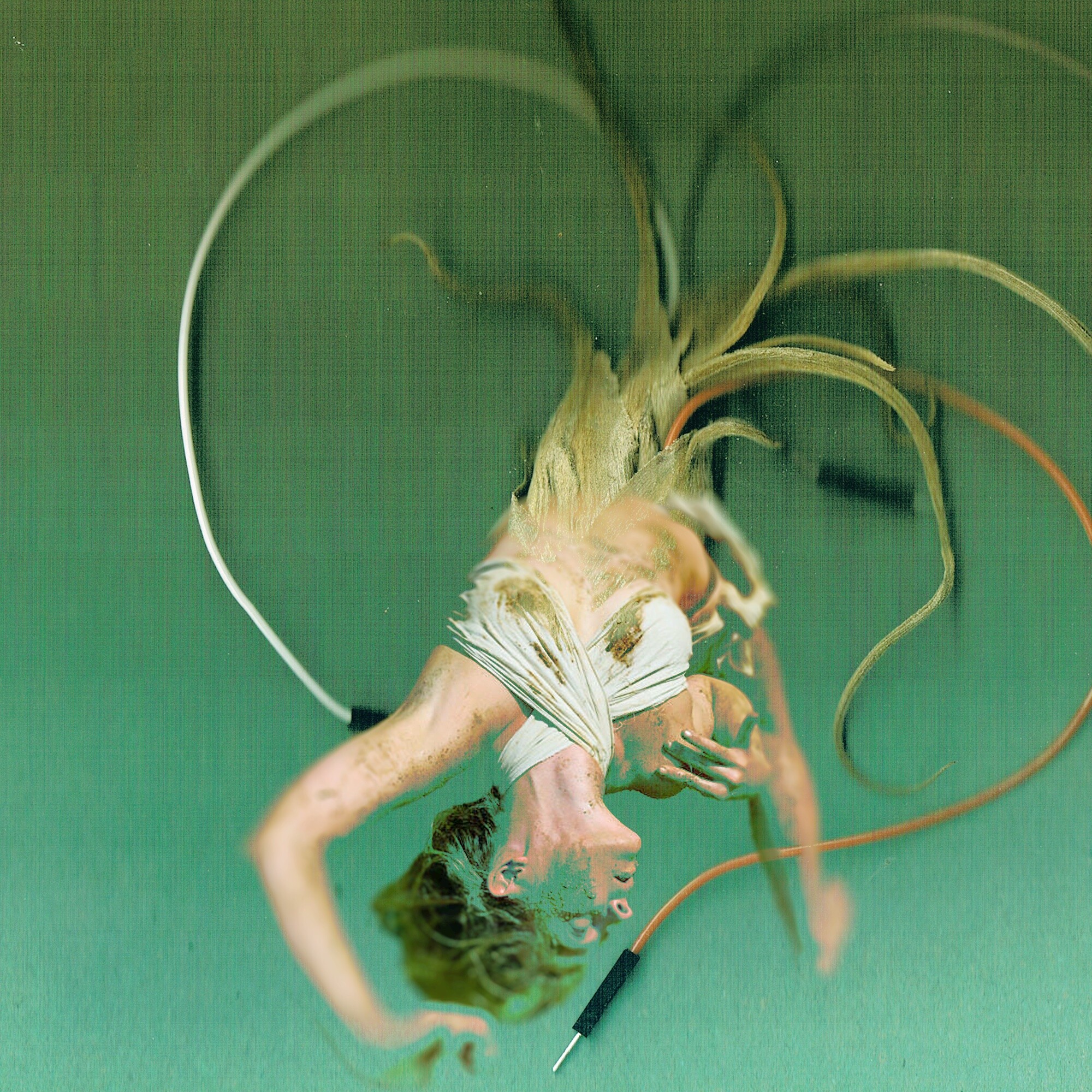 This picture shows a painting with a green background. In front of it is a creature, half human, half plant, depicted standing on its head.